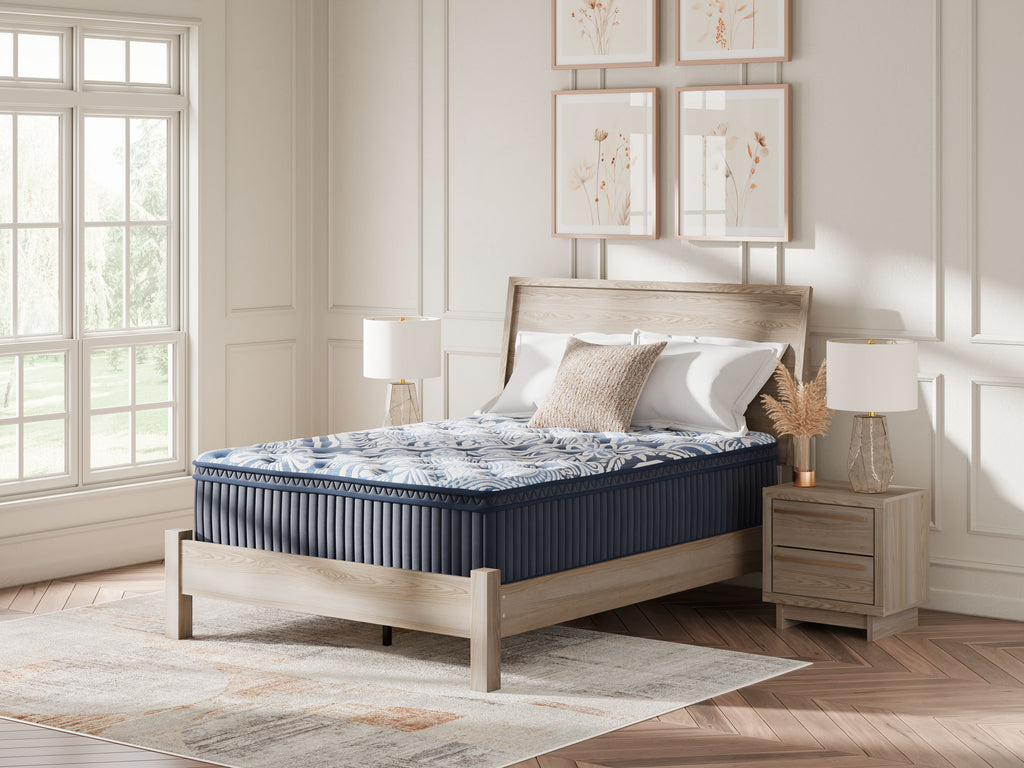 Plush Euro Top Latex Hybrid Mattress