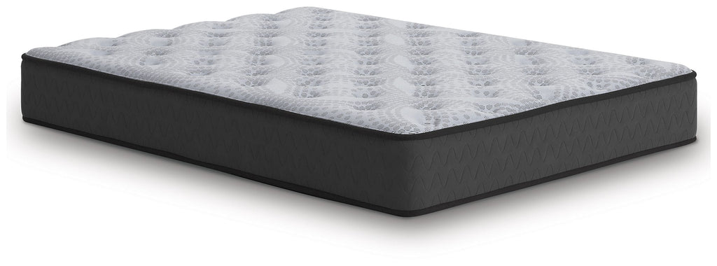 Lumbar Support Coil Foam Mattress