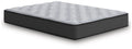 Lumbar Support Coil Foam Mattress