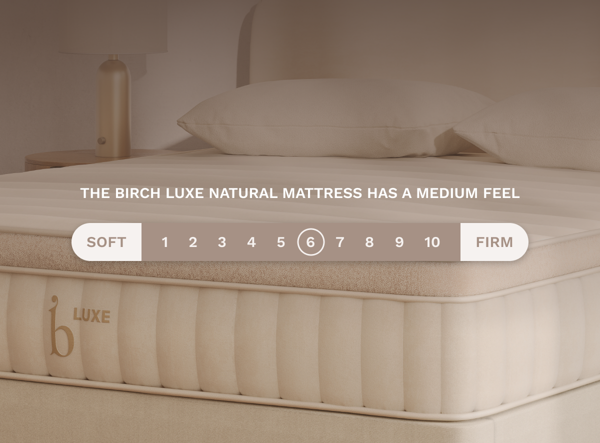 Luxe Natural Mattress - Plush Pillow Top & Organic Latex