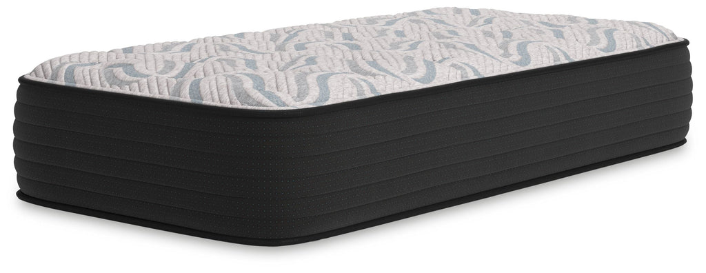 Plush Pocketed Coil Hybrid Mattress