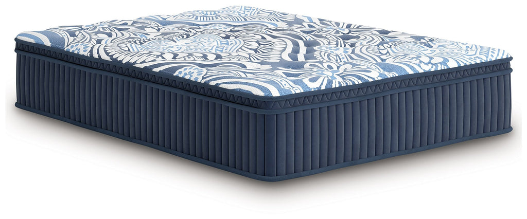 Plush Euro Top Latex Hybrid Mattress